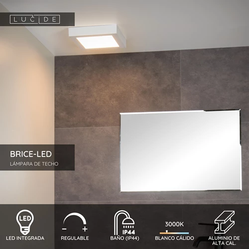 Lucide BRICE-LED - Lámpara de techo Baño - LED Regul. - 1x22W 3000K - IP44 - Blanco - USP